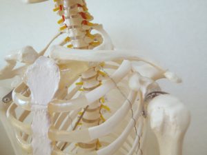 トレ 筋 胸郭 症候群 出口 筋肉や鎖骨が血管、神経の通りみちを圧迫しておこる胸郭出口症候群